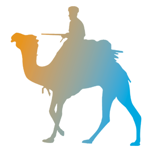 Camel Ride