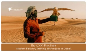 falconry training techniques Blog Banner by Hot Air Balloon Dubai Ride